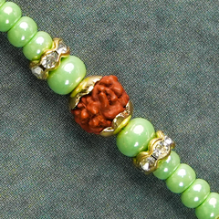 Rudraksh Rakhi